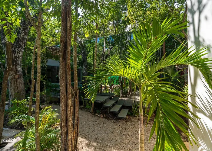 Chay Glass Jungle House Apartment Tulum