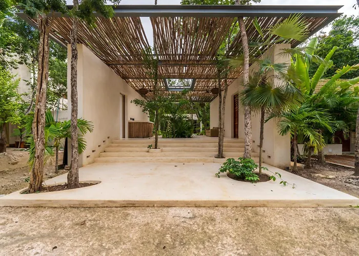 Chay Glass Jungle House