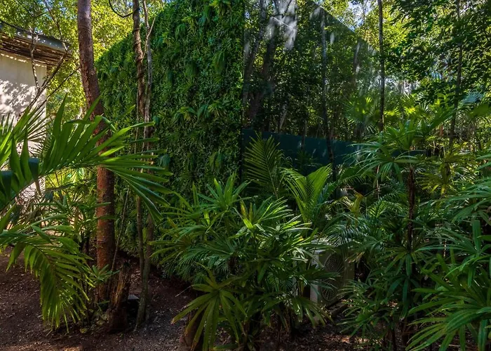 Apartment Chay Glass Jungle House