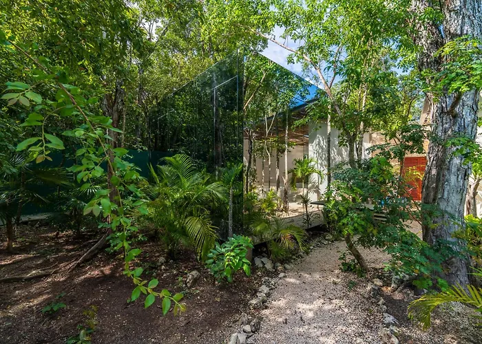 Chay Glass Jungle House