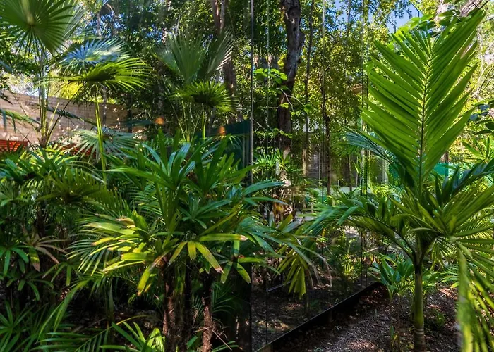 Chay Glass Jungle House Apartment *
